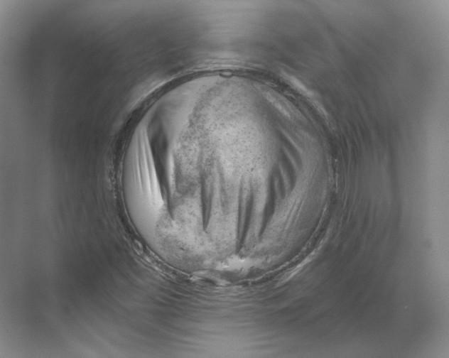 X0000068851453200606021722