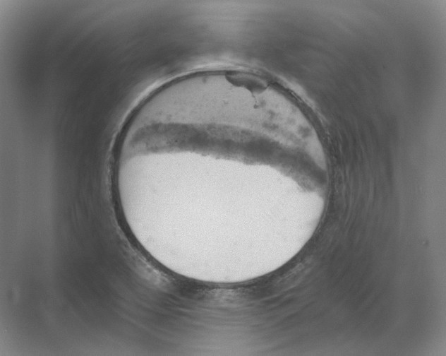 X0000068851463200606021722