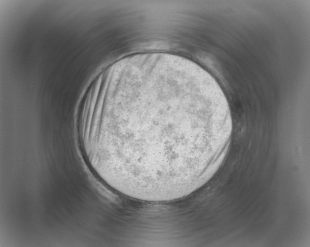 X0000068851475200606021722