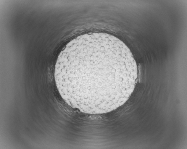 X0000068851491200606021721