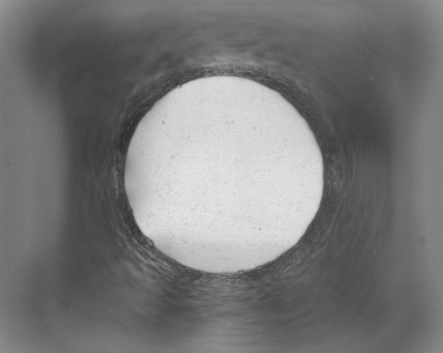 X0000068851493200606021721