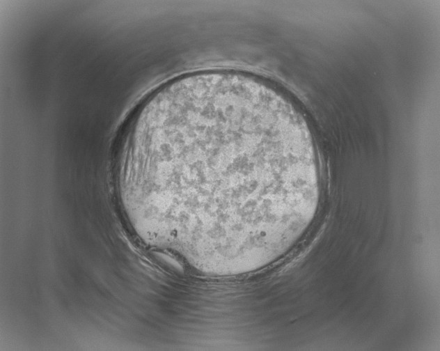 X0000068851501200606021721