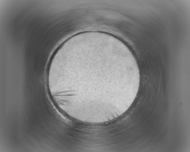 X0000068851517200606021721