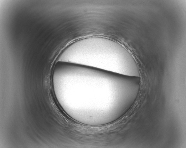 X0000068860002200605051055
