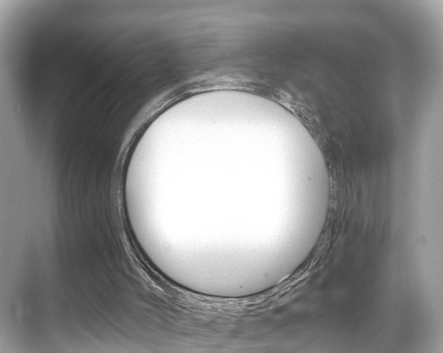 X0000068860004200605051055