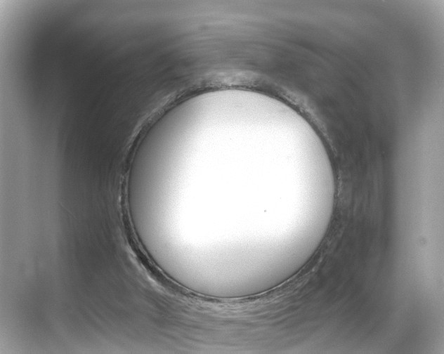 X0000068860010200605051055