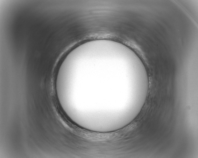X0000068860012200605051055