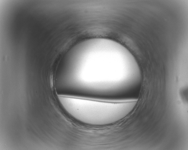 X0000068860021200605051055