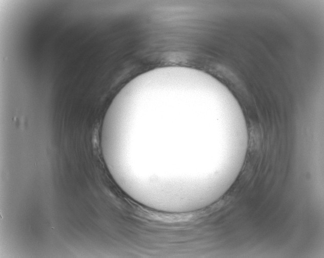 X0000068860032200605051055