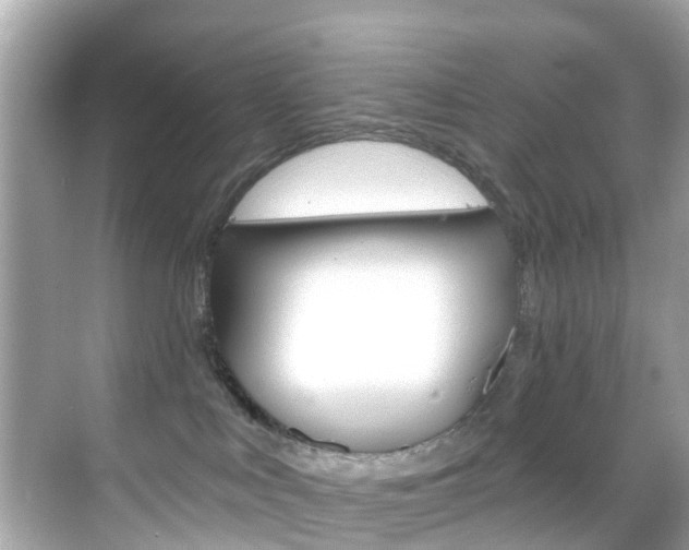 X0000068860043200605051055