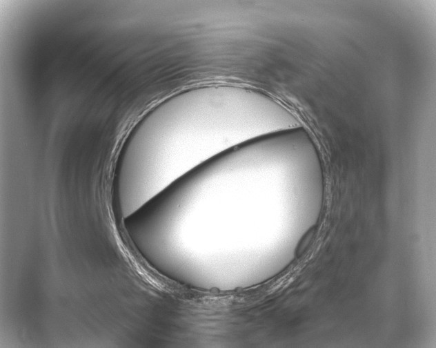 X0000068860049200605051054