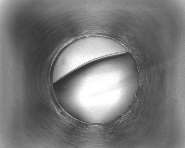 X0000068860050200605051054