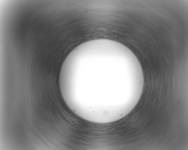 X0000068860088200605051055