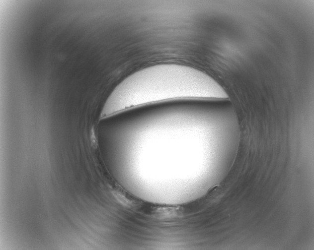 X0000068860089200605051055