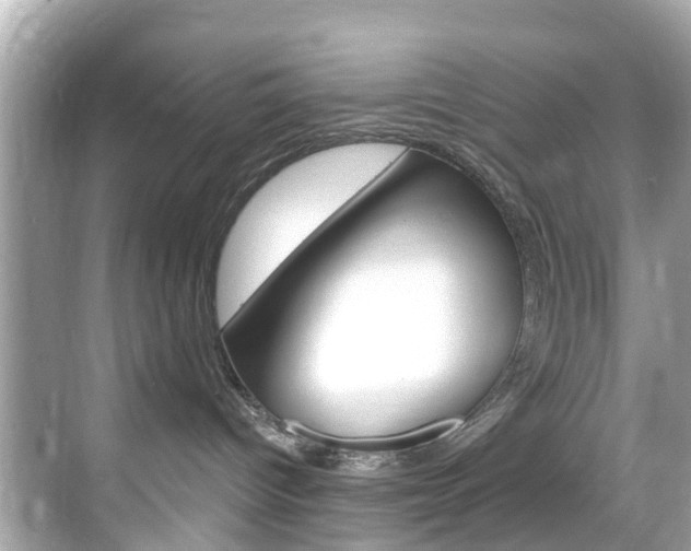 X0000068860096200605051055