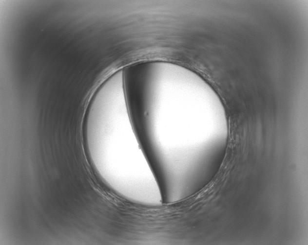 X0000068860099200605051054
