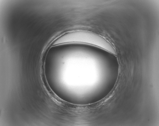 X0000068860101200605051054