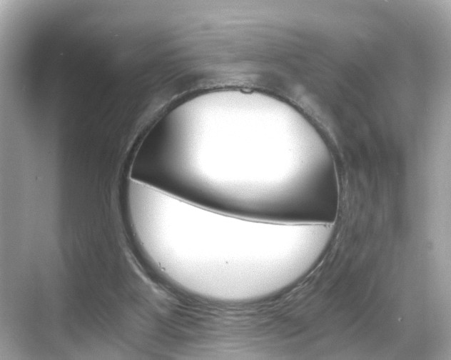 X0000068860107200605051054