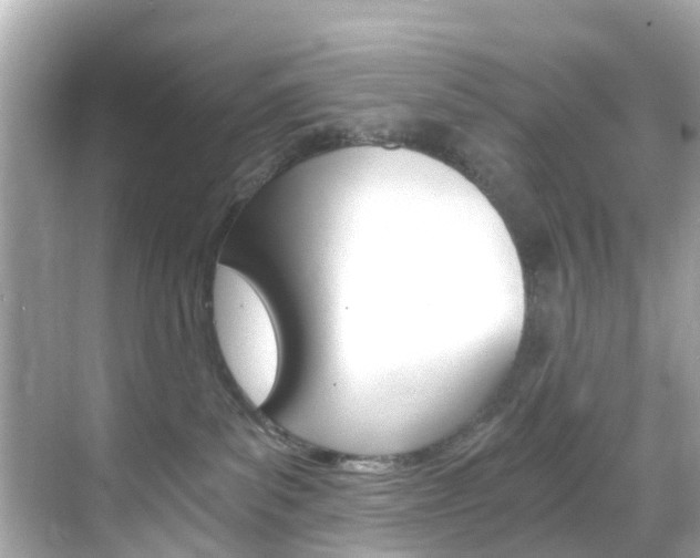 X0000068860139200605051053
