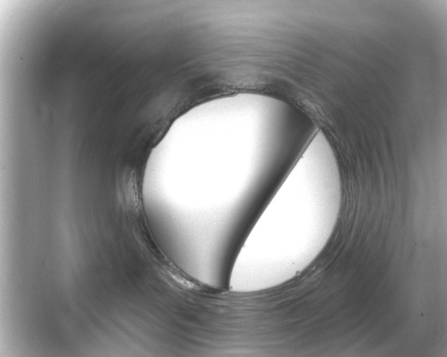 X0000068860143200605051053