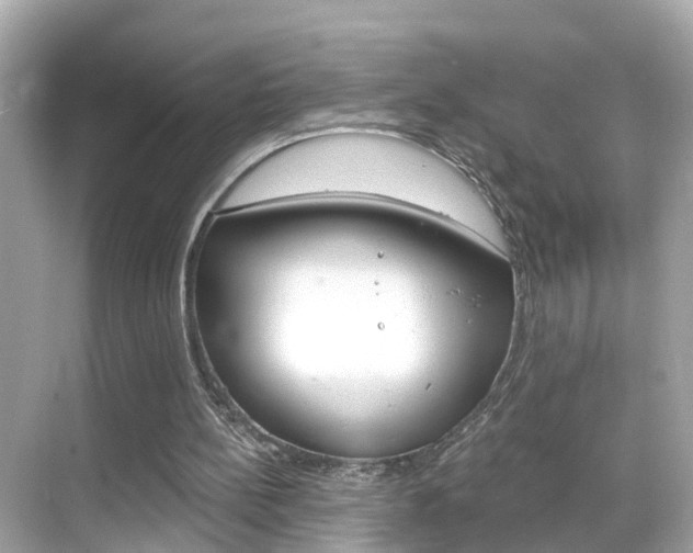 X0000068860148200605051052