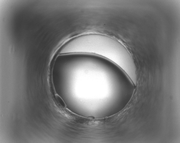 X0000068860152200605051052