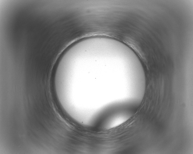 X0000068860156200605051052