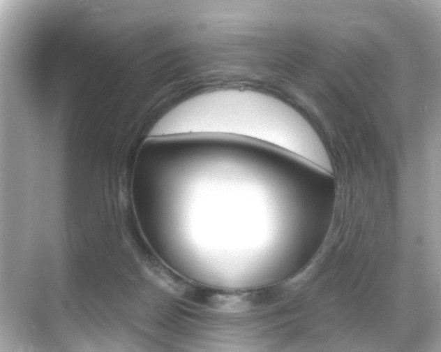 X0000068860170200605051053