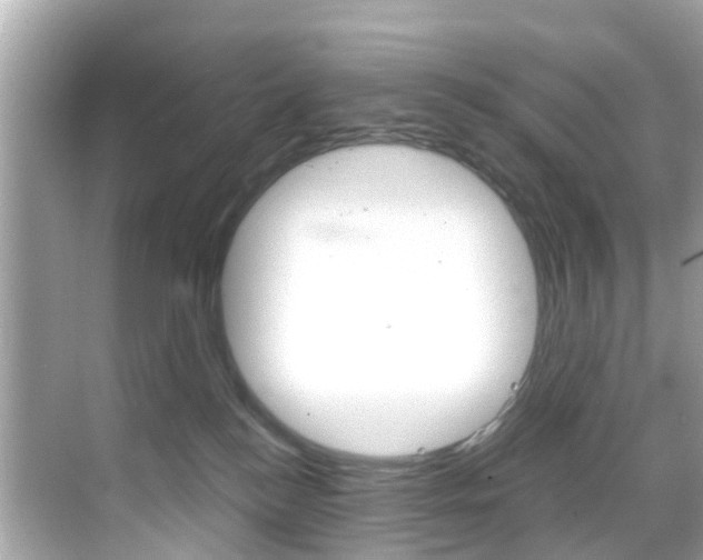 X0000068860184200605051053