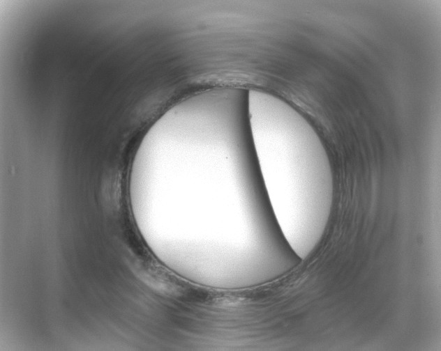 X0000068860206200605051052