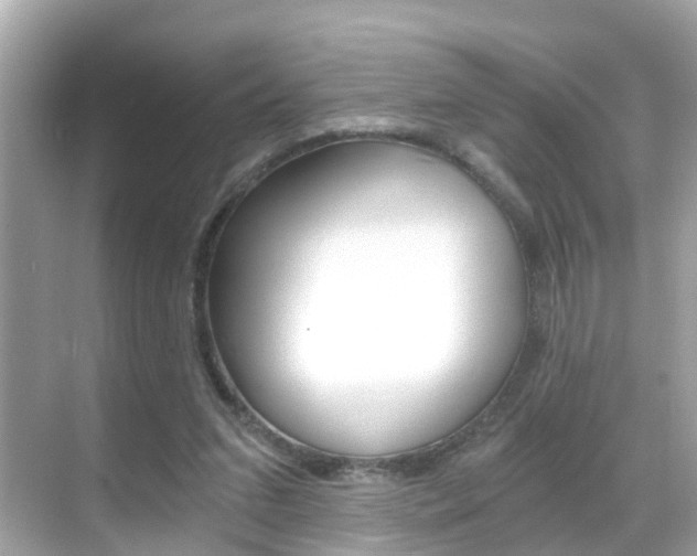 X0000068860207200605051052