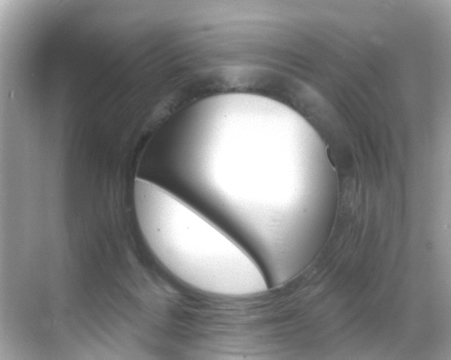 X0000068860220200605051052