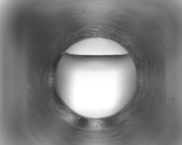 X0000068860226200605051052