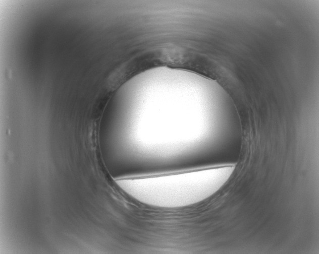 X0000068860233200605051052