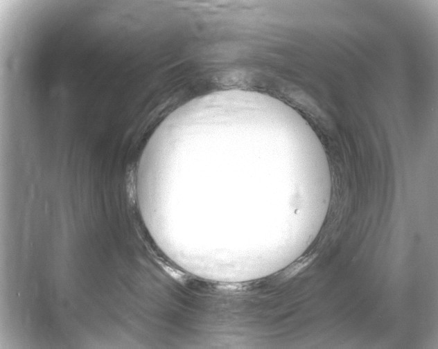 X0000068860240200605051051