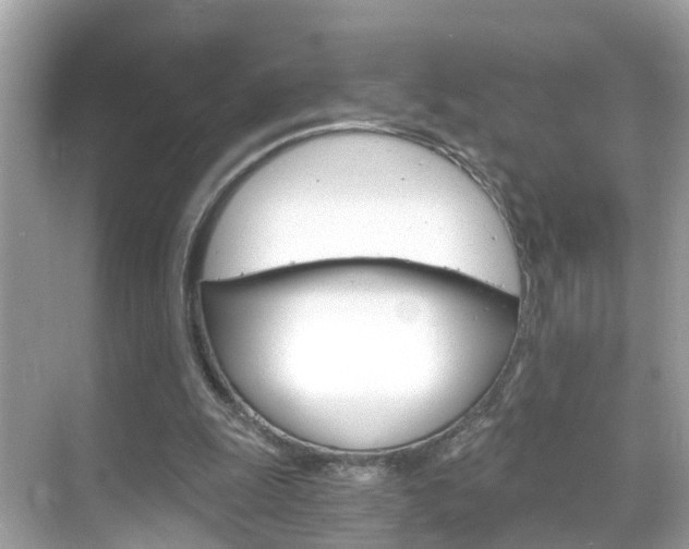 X0000068860247200605051051