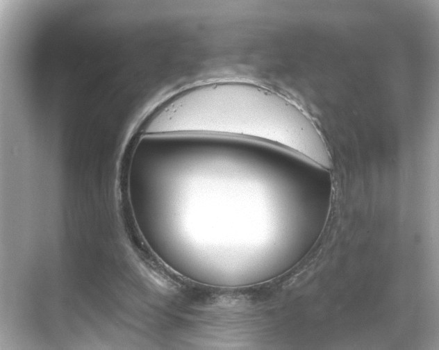 X0000068860248200605051051