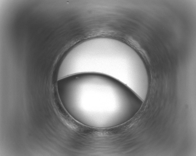 X0000068860250200605051051