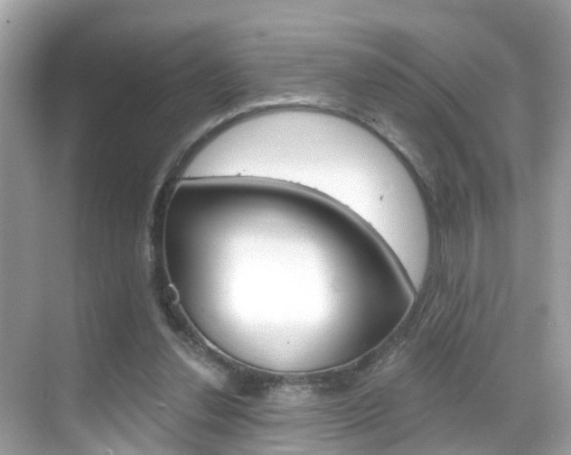X0000068860252200605051051