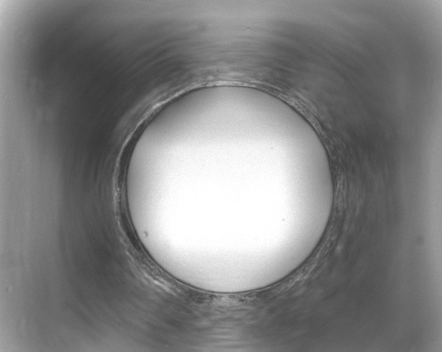 X0000068860290200605051051