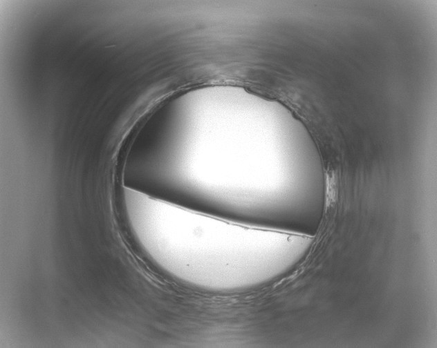 X0000068860291200605051051