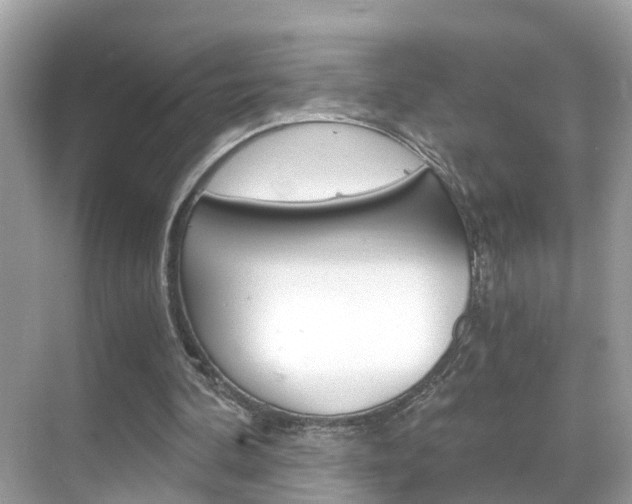 X0000068860292200605051051