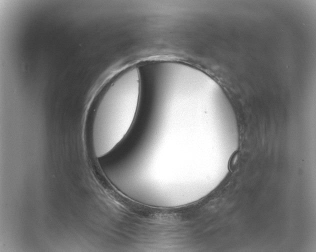 X0000068860296200605051050