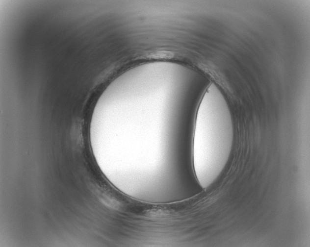 X0000068860300200605051050