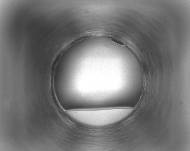 X0000068860301200605051050