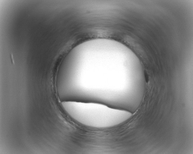 X0000068860306200605051050