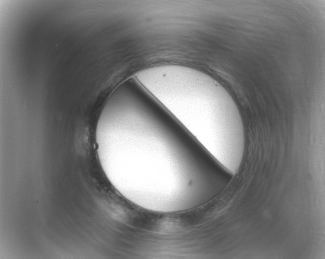 X0000068860308200605051050