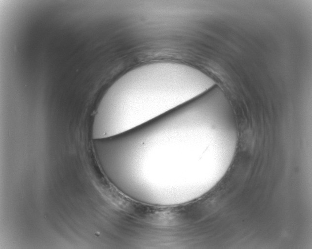 X0000068860310200605051050