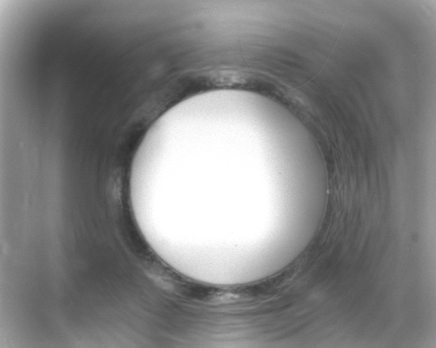 X0000068860315200605051050