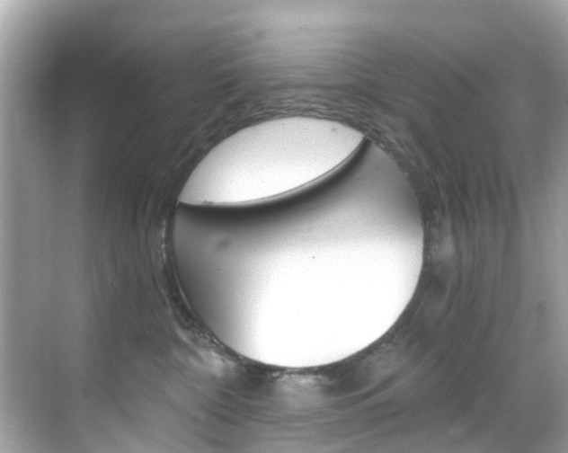 X0000068860332200605051050
